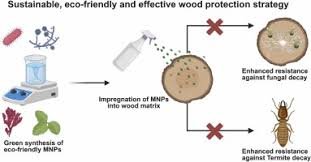 The Future of Preservation: Microwave Tech vs. Wood Pests